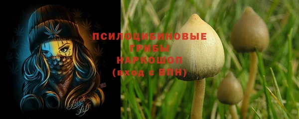 гидропоника Липки