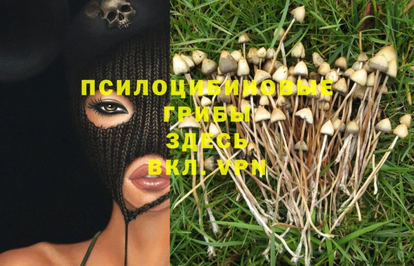 стафф Лиски