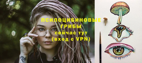 гидропоника Липки